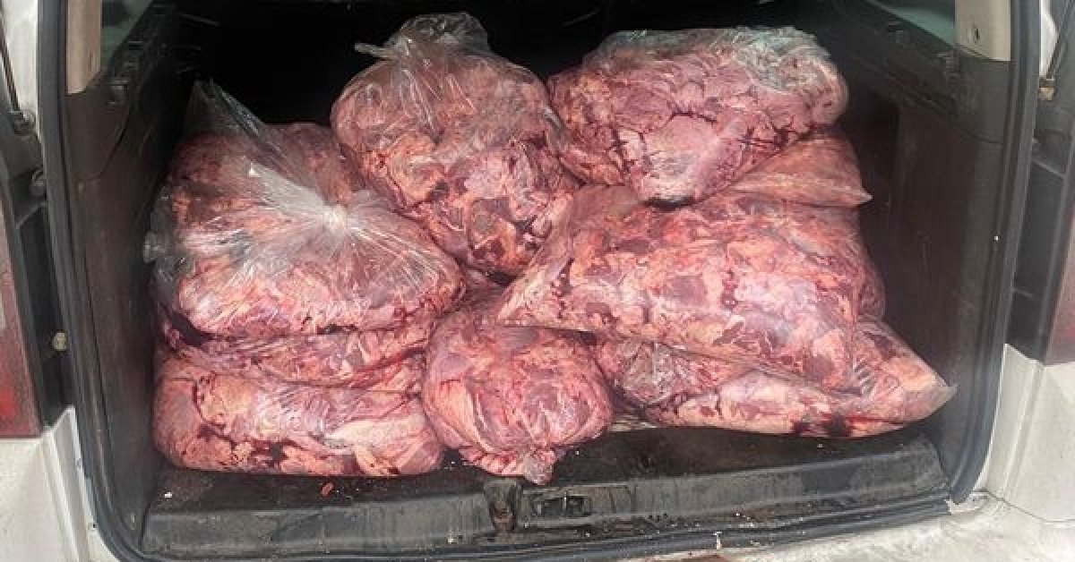 Zonguldakta hafif ticari araçta 450 kilogram bozuk et ele geçirildi