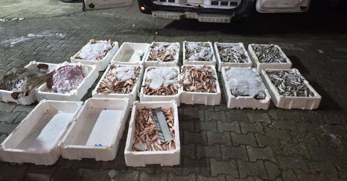 Son dakika: Kastamonu’da yasa dışı avlanan 1,5 ton balığa el konuldu