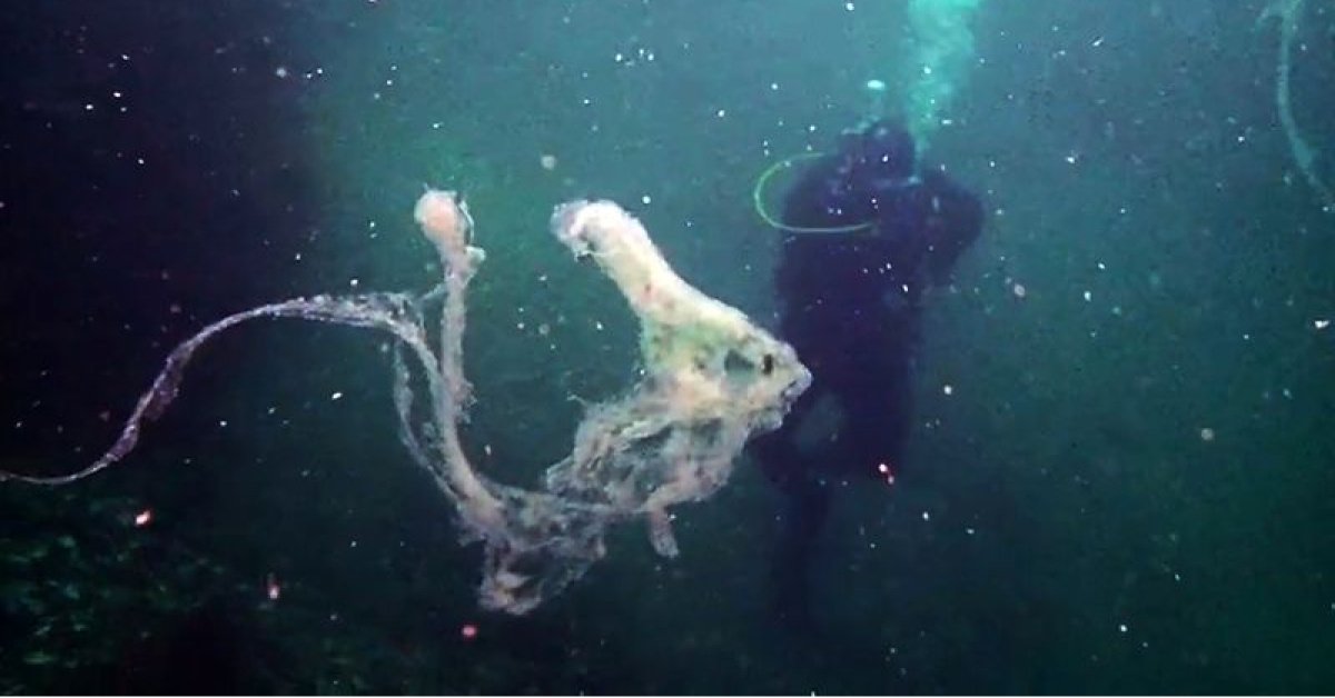 Prof. Sarı’dan başkanlara Marmara’da keşif dalışı çağrısı