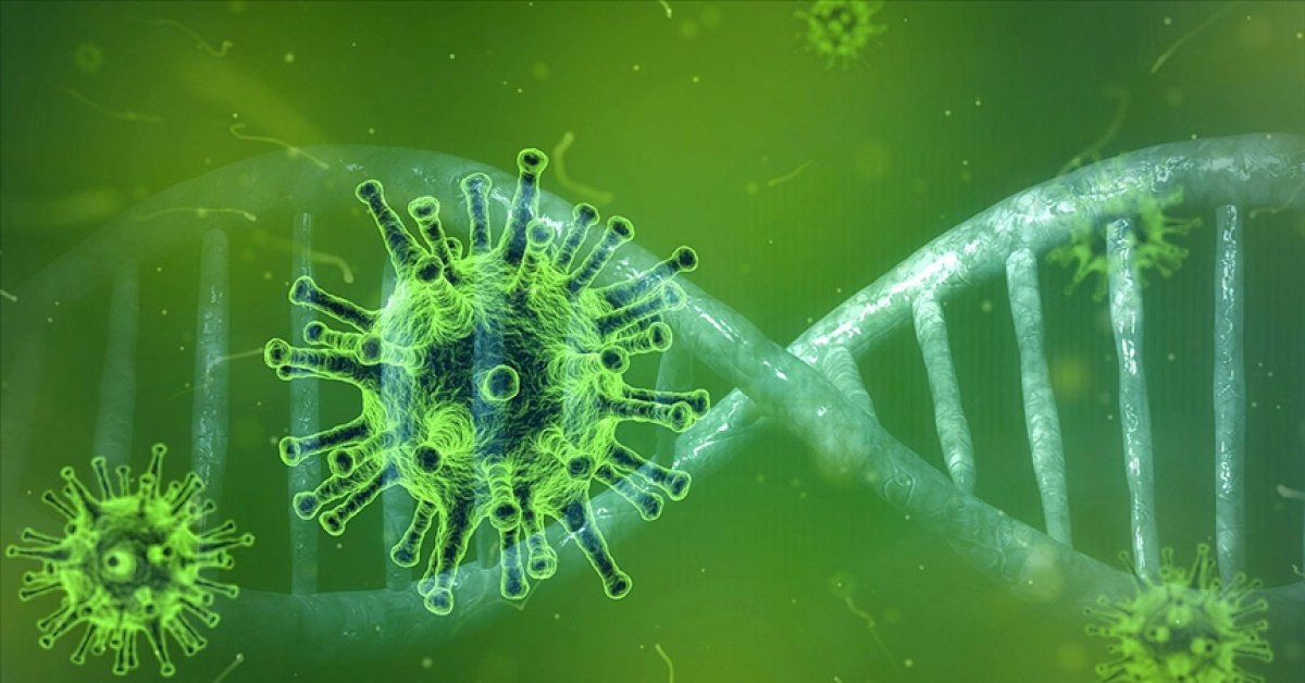 Nipah virüsü nedir, belirtileri nelerdir? Nipah virüsü Türkiye’de görüldü mü?