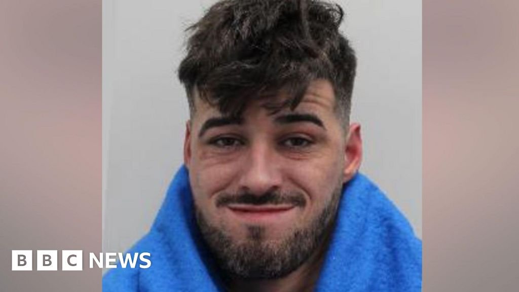 Driver jailed for deadly Christmas Day rampage in London's West End