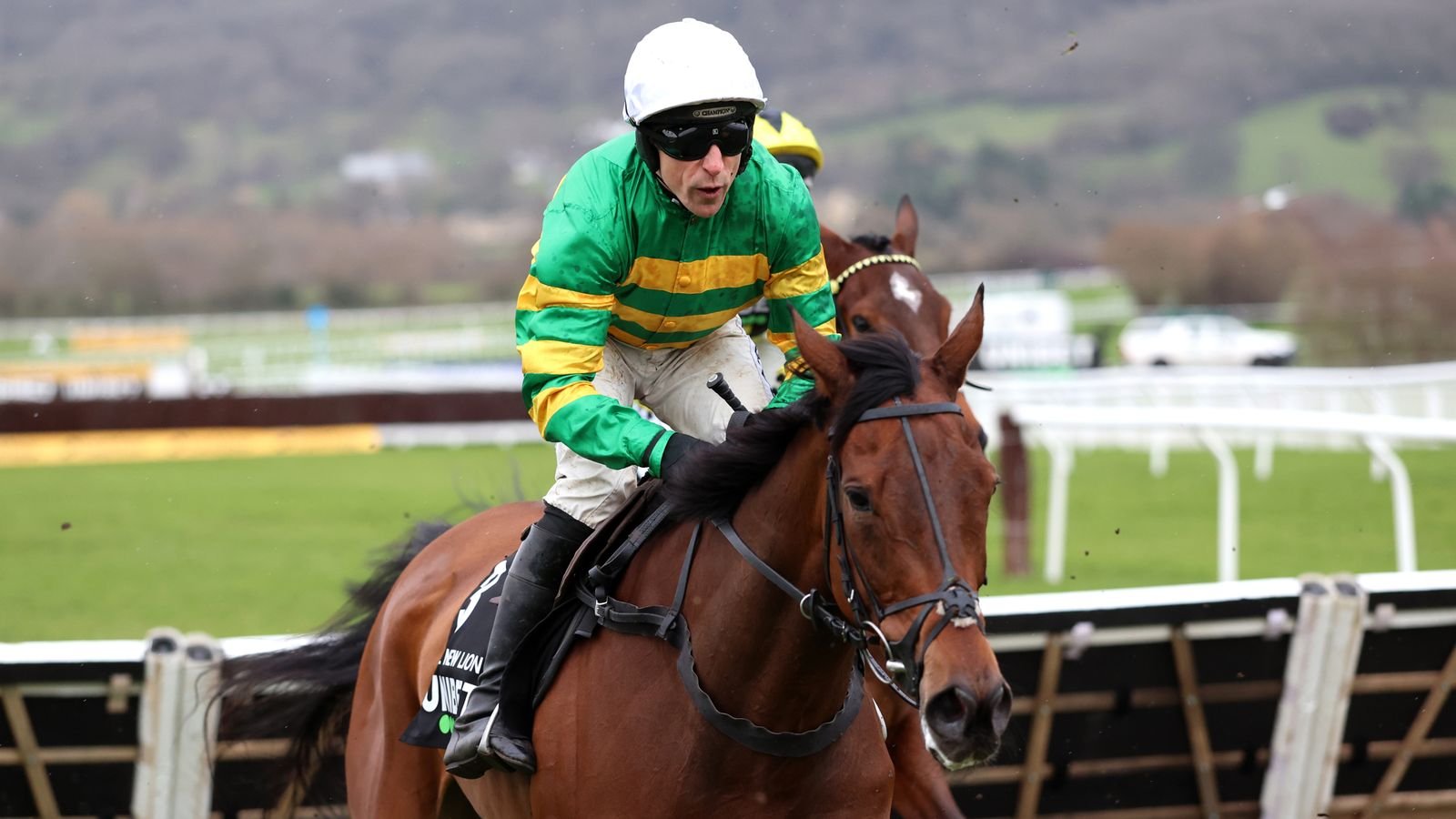 Cheltenham: Injury to Sir Gino mars The New Lion’s Unibet Hurdle victory but Nicky Henderson’s star ‘comfortable and stable’ | Racing News