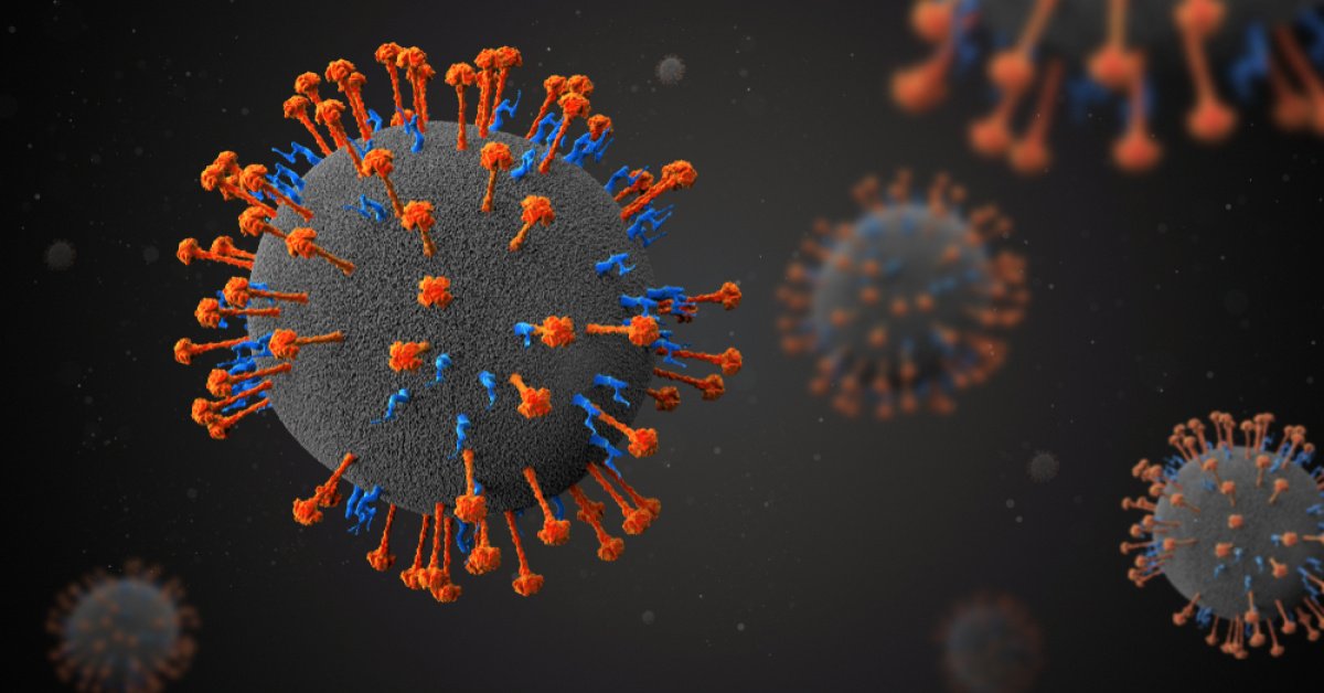 Yarasalardan bulaşan ölümcül virüse karşı uyarı! – Haberler