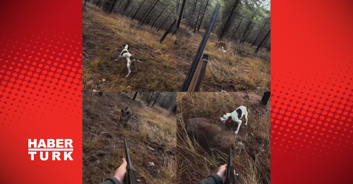 Mersin’de av sırasında domuz saldırısı kamerada