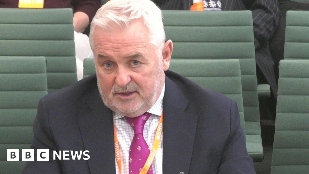 Civil service pension backlog 'overwhelmed' Capita, boss says