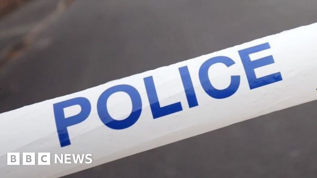 Light aircraft crashes 'with two on board'