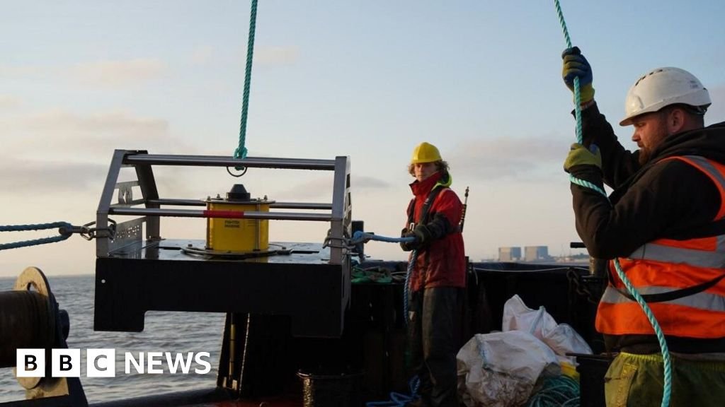 How £50m 'fish disco' could save farmland