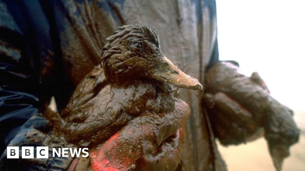 Red eyes and black beaches: How one of the worst environmental disasters left its mark