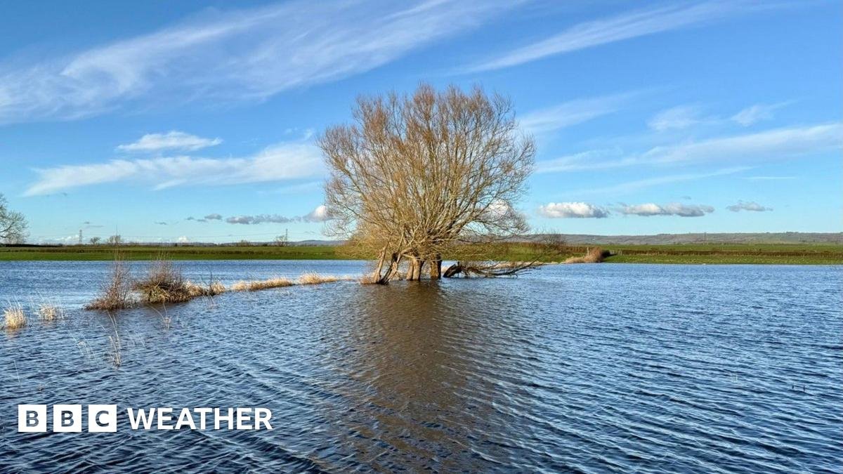 Parts of England and Wales have rained every day this year