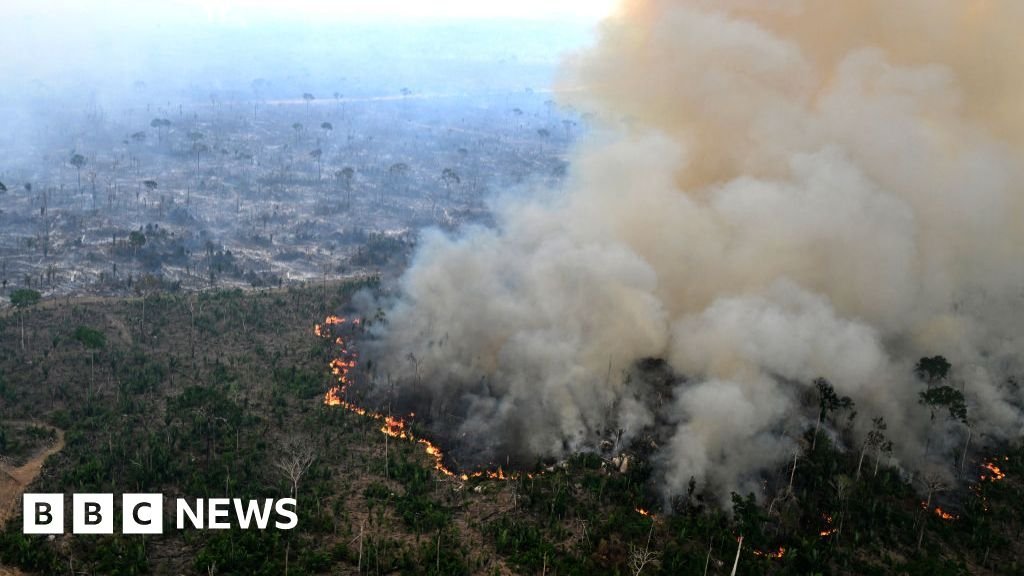 Businesses face extinction unless they protect nature, major report warns