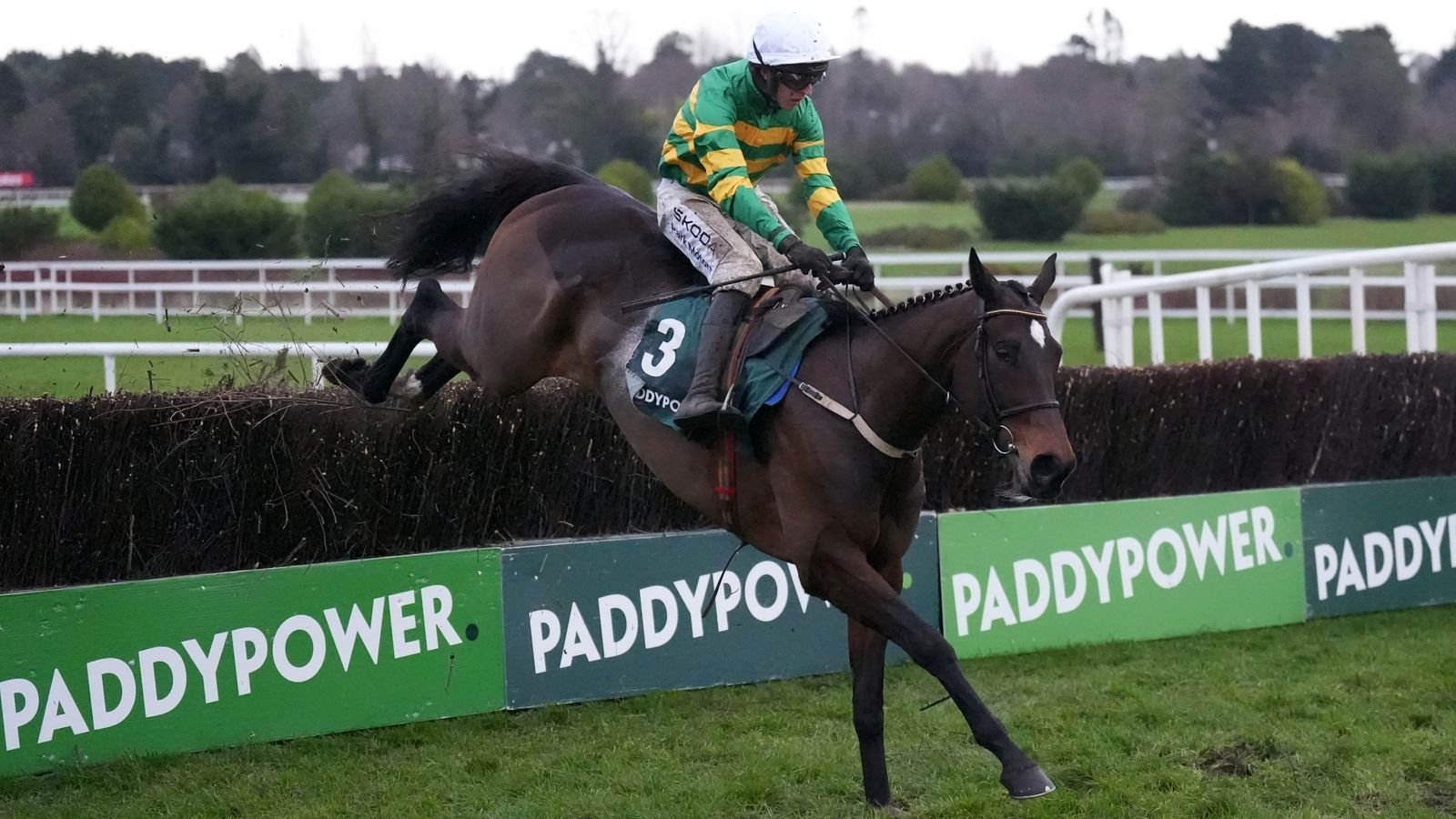 Dublin Racing Festival: Fact To File strikes in Irish Gold Cup under Mark Walsh at Leopardstown | Racing News