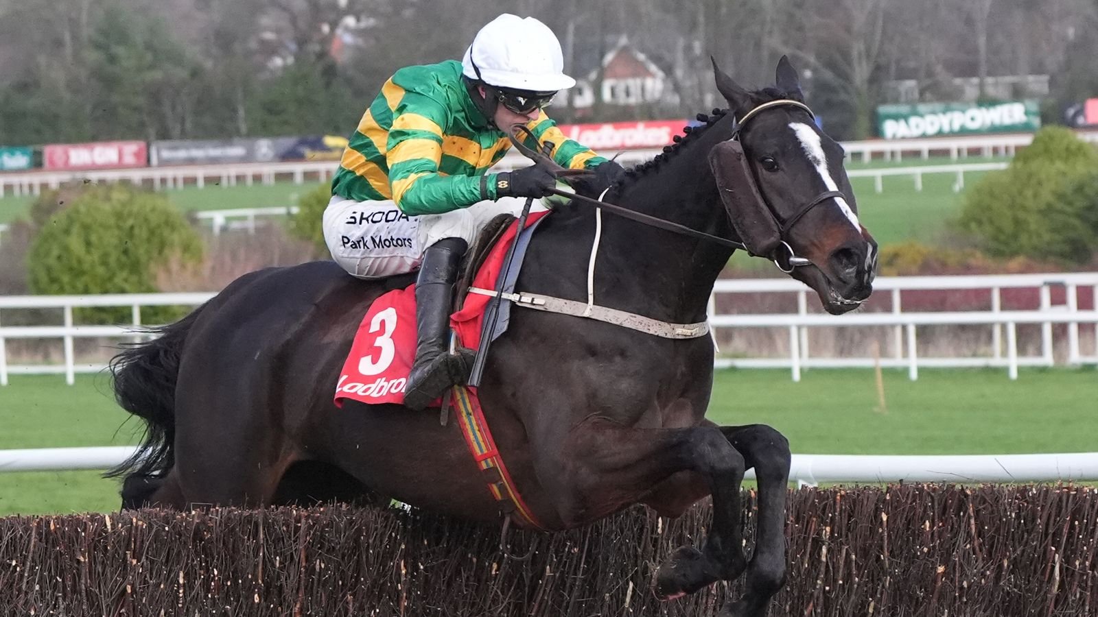 Leopardstown: Kaid d’Authie downs Final Demand in shock result at the Dublin Racing Festival | Racing News